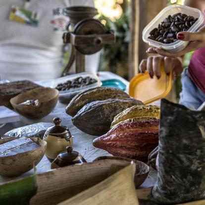 Voyage à Cuba - Agence de Voyage Locale Cuba Autrement