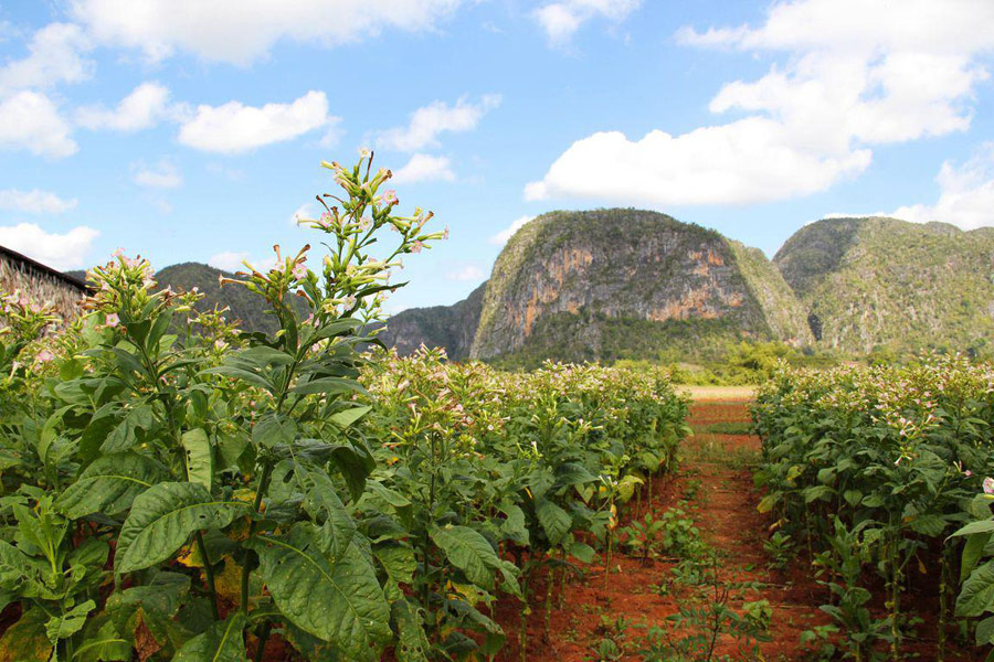 Voyage à Cuba - Agence de Voyage Locale Cuba Autrement