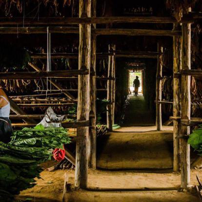 Voyage à Cuba - Agence de Voyage Locale Cuba Autrement