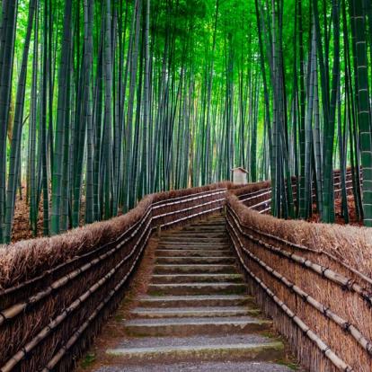 Voyage au Japon - Agence de Voyage Locale Shanti Travel