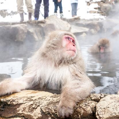 Voyage au Japon - Agence de Voyage Locale Shanti Travel