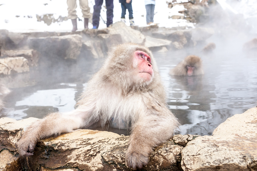 Voyage au Japon - Agence de Voyage Locale Shanti Travel