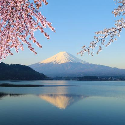 Voyage au Japon - Agence de Voyage Locale Shanti Travel