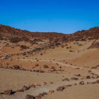 Voyage aux Canaries - Agence de Voyage Locale Altaï Canarias