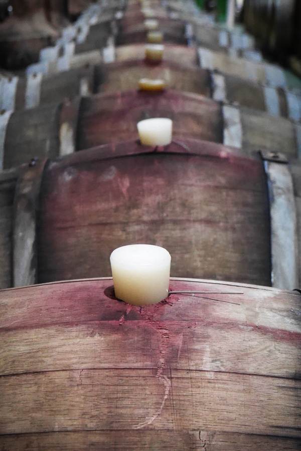 Voyage aux Canaries - Agence de Voyage Locale Altaï Canarias