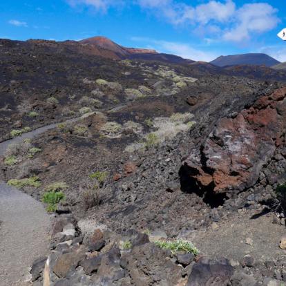 Voyage aux Canaries - Agence de Voyage Locale Altaï Canarias