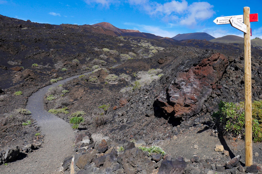 Voyage aux Canaries - Agence de Voyage Locale Altaï Canarias