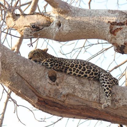 Voyage en Tanzanie - Agence de Voyage Locale Hippotours & Safari Ltd