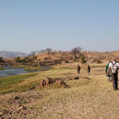 Voyage en Tanzanie - Agence de Voyage Locale Hippotours & Safari Ltd