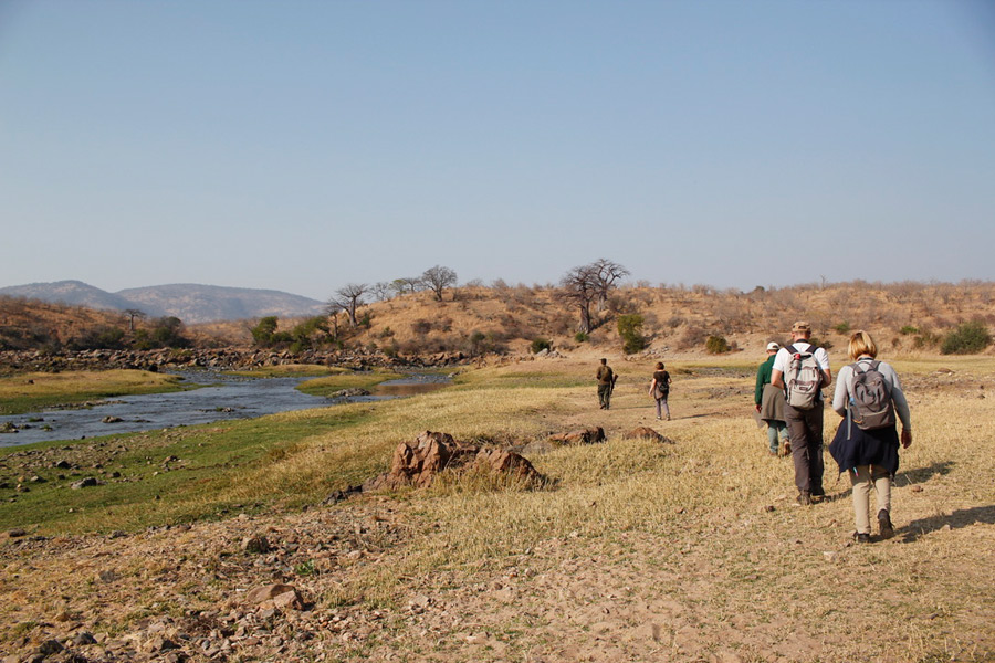 Voyage en Tanzanie - Agence de Voyage Locale Hippotours & Safari Ltd