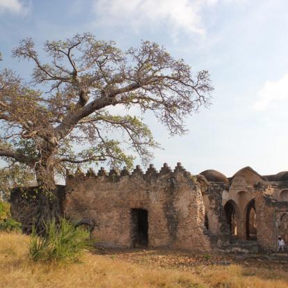 Voyage en Tanzanie - Agence de Voyage Locale Hippotours & Safari Ltd