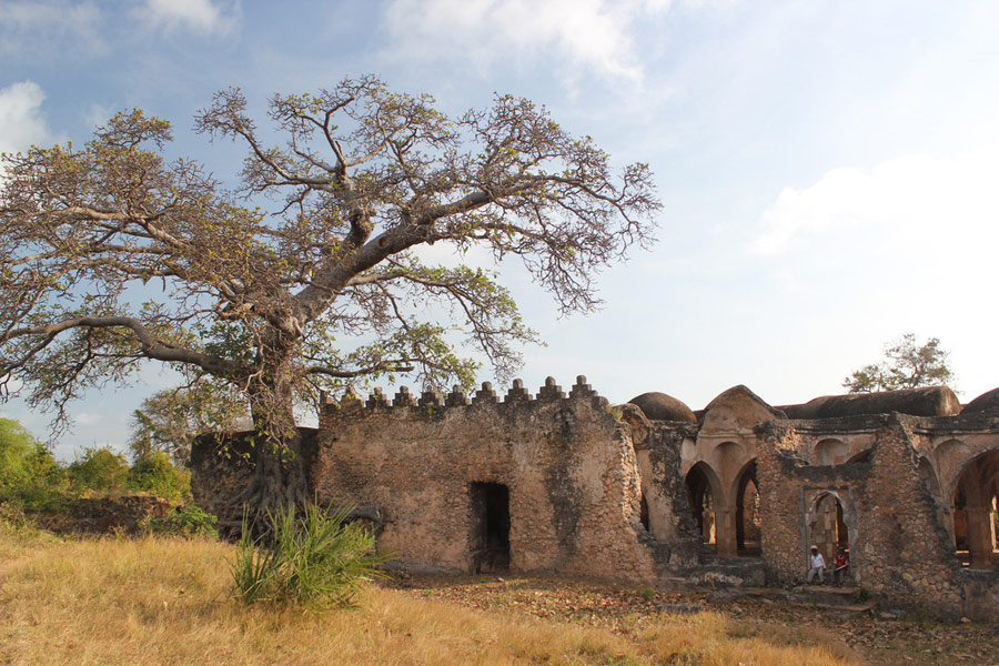 Voyage en Tanzanie - Agence de Voyage Locale Hippotours & Safari Ltd