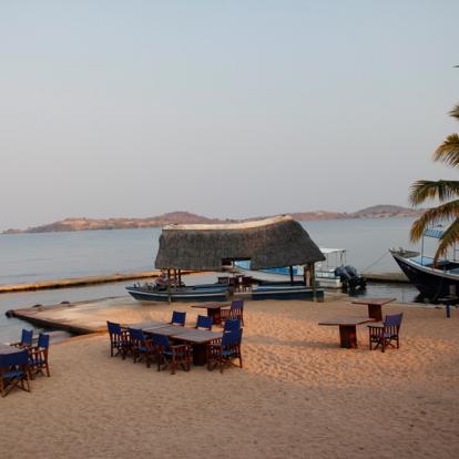 Voyage en Tanzanie - Agence de Voyage Locale Hippotours & Safari Ltd