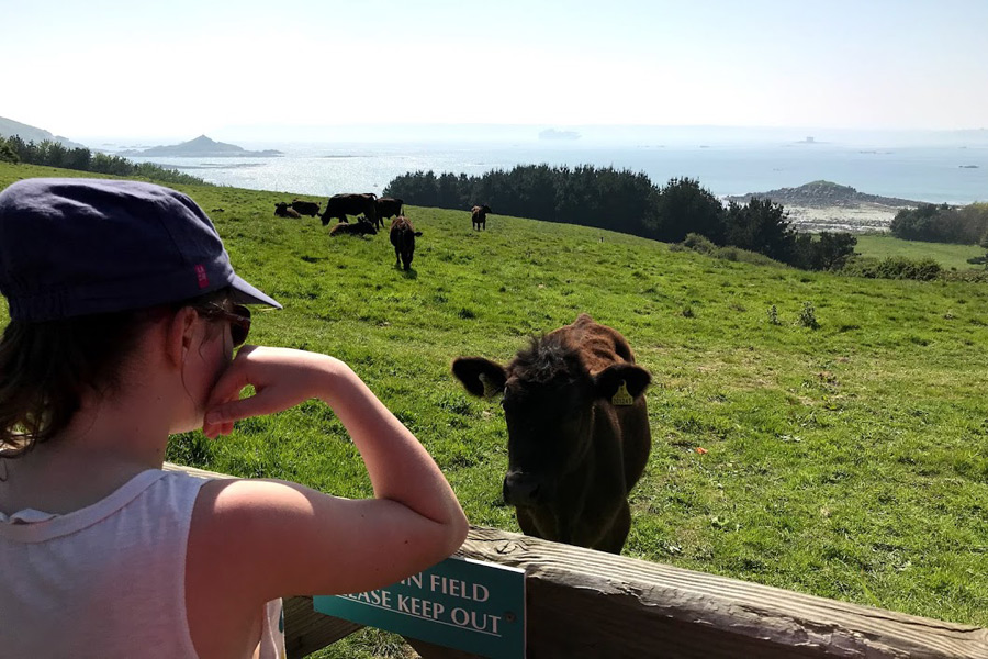 Voyage dans le Grand Ouest de la France - Agence de Voyage Locale Visit Ouest