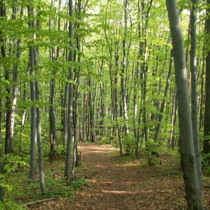 Agence de Voyage Locale en Espagne - Altaï Espana