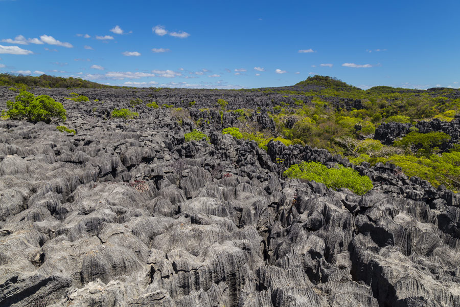Voyage à Madagascar - Agence de Voyage Malagasya Travel