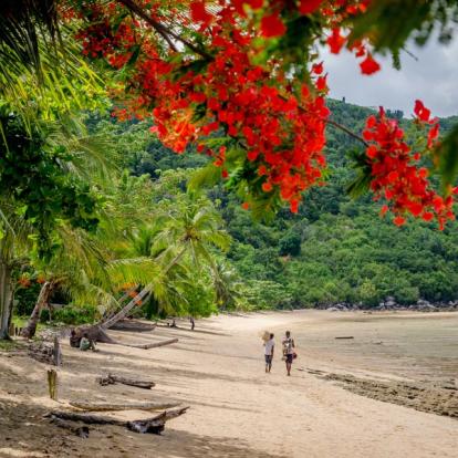 Voyage à Madagascar - Agence de Voyage Malagasya Travel
