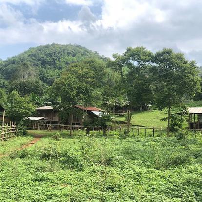 Voyage en Thailande - Agence de Voyage Locale Siam as Iam