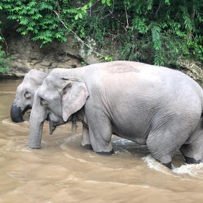 Voyage en Thailande - Agence de Voyage Locale Siam as Iam