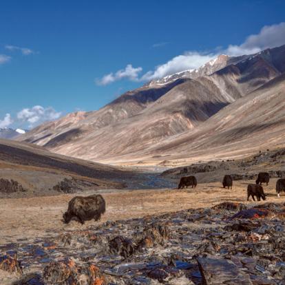 Voyage au Tadjikistan - Agence de Voyage Locale Travel Experts