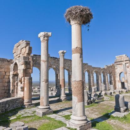 Voyage au Maroc - Agence de Voyage Locale Tamazirt Evasion