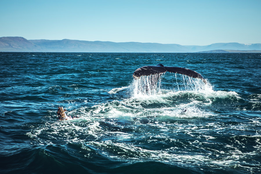 Voyage en Islande - Agence de Voyage Locale V·O·S