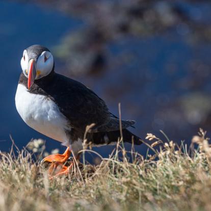 Voyage en Islande - Agence de Voyage Locale V·O·S