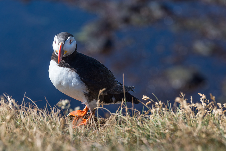 Voyage en Islande - Agence de Voyage Locale V·O·S