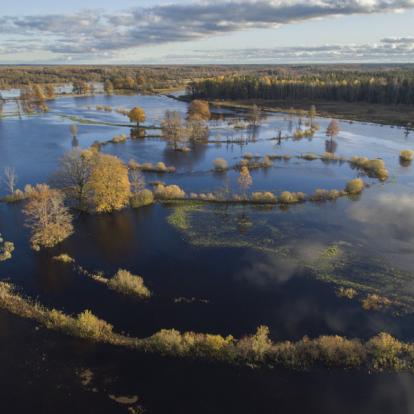 Voyage dans les Pays Baltes - Agence de Voyage Locale V.O.S.