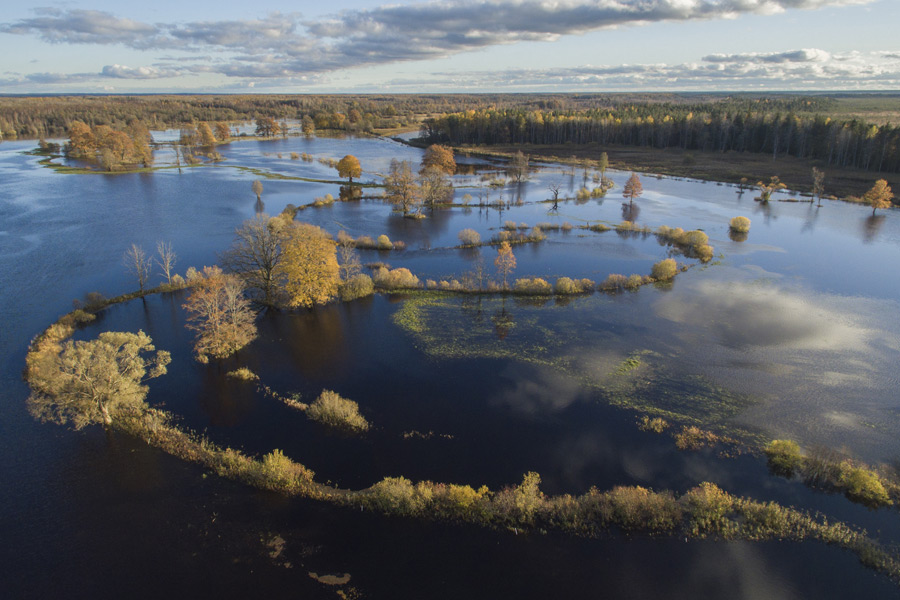 Voyage dans les Pays Baltes - Agence de Voyage Locale V.O.S.