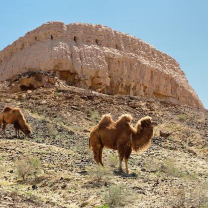 Voyage en Ouzbékistan - Agence de Voyage Shanti Travel