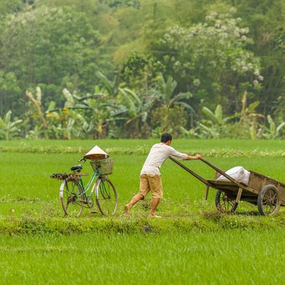 Voyage au Vietnam - Agence de Voyage Locale Shanti Travel