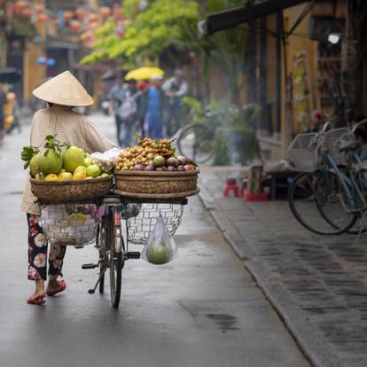 Voyage au Vietnam - Agence de Voyage Locale Shanti Travel