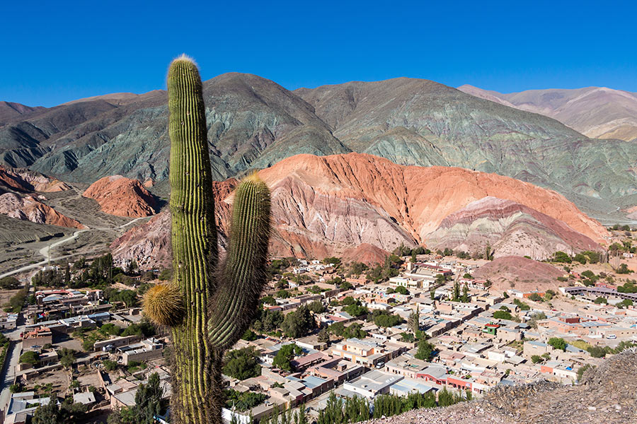 Voyage en Argentine du Nord - Agence de Voyage Locale Terra Altiplano