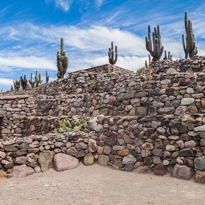 Voyage en Argentine du Nord - Agence de Voyage Locale Terra Altiplano