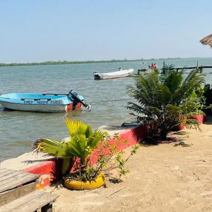 Voyage en Casamance - Agence de Voyage Locale Casamance Enchantée