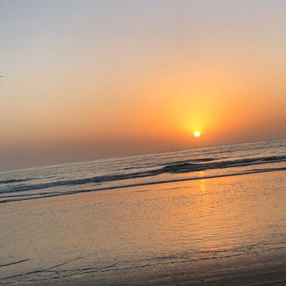 Voyage en Casamance - Agence de Voyage Locale Casamance Enchantée