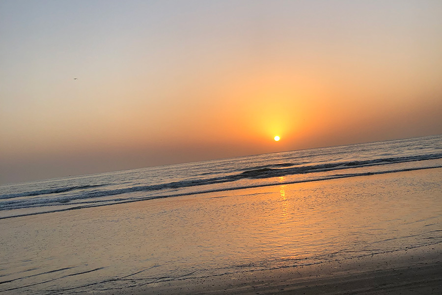 Voyage en Casamance - Agence de Voyage Locale Casamance Enchantée