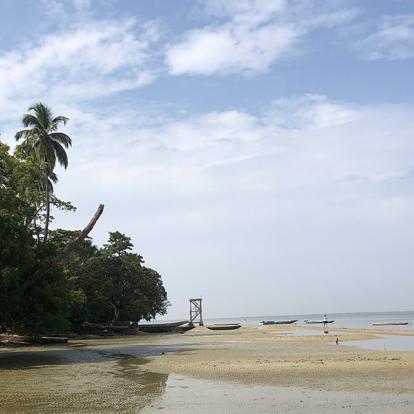 Voyage en Casamance - Agence de Voyage Locale Casamance Enchantée