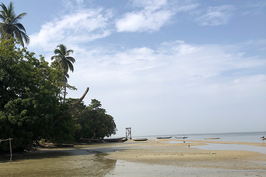 Voyage en Casamance - Agence de Voyage Locale Casamance Enchantée
