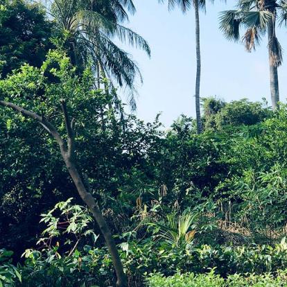 Voyage en Casamance - Agence de Voyage Locale Casamance Enchantée