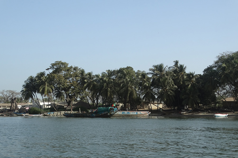 Voyage en Casamance - Agence de Voyage Locale Casamance Enchantée