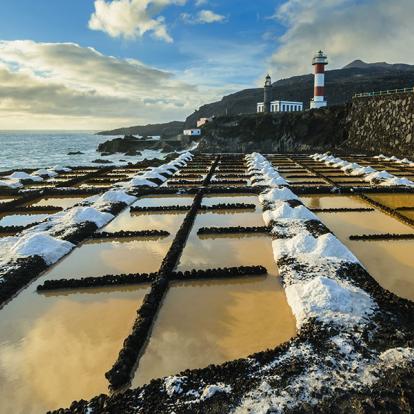 Séjour aux Canaries - Agence de Voyage Locale VoyagesCanaries