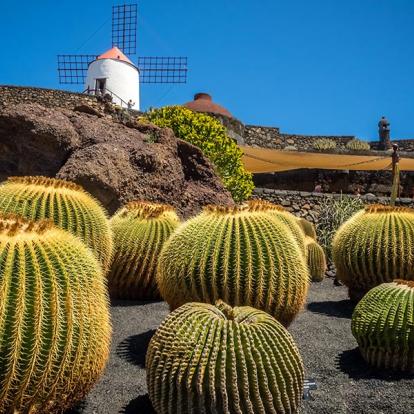 Séjour aux Canaries - Agence de Voyage Locale VoyagesCanaries