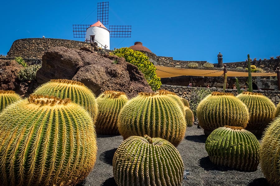 Séjour aux Canaries - Agence de Voyage Locale VoyagesCanaries