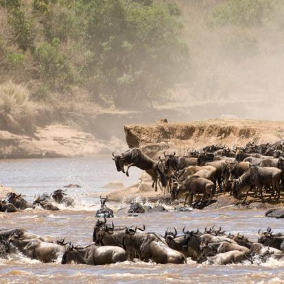 Voyage au Kenya - Agence de Voyage Locale Terra Africa