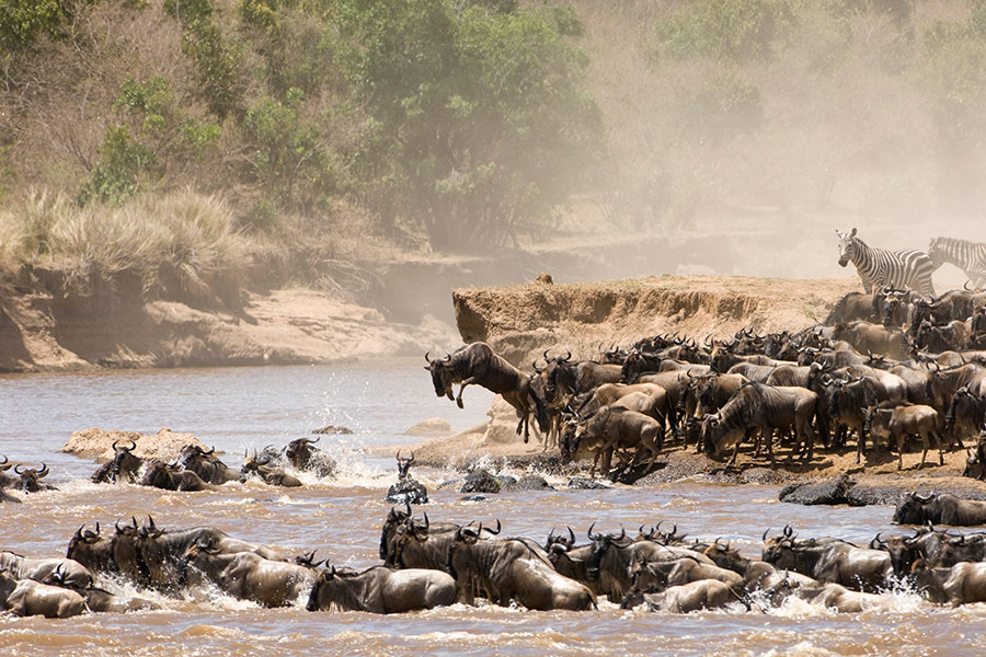 Voyage au Kenya - Agence de Voyage Locale Terra Africa