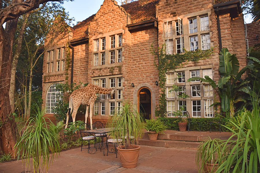 Voyage au Kenya - Agence de Voyage Locale Terra Africa