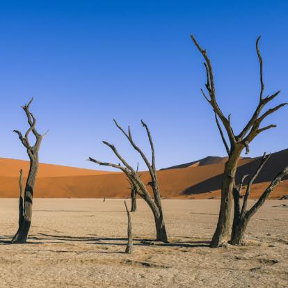 Voyage en Namibie - Agence de Voyage Infinite Horizons Safaris