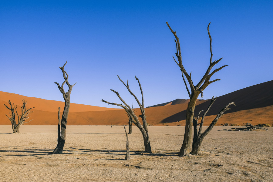 Voyage en Namibie - Agence de Voyage Infinite Horizons Safaris